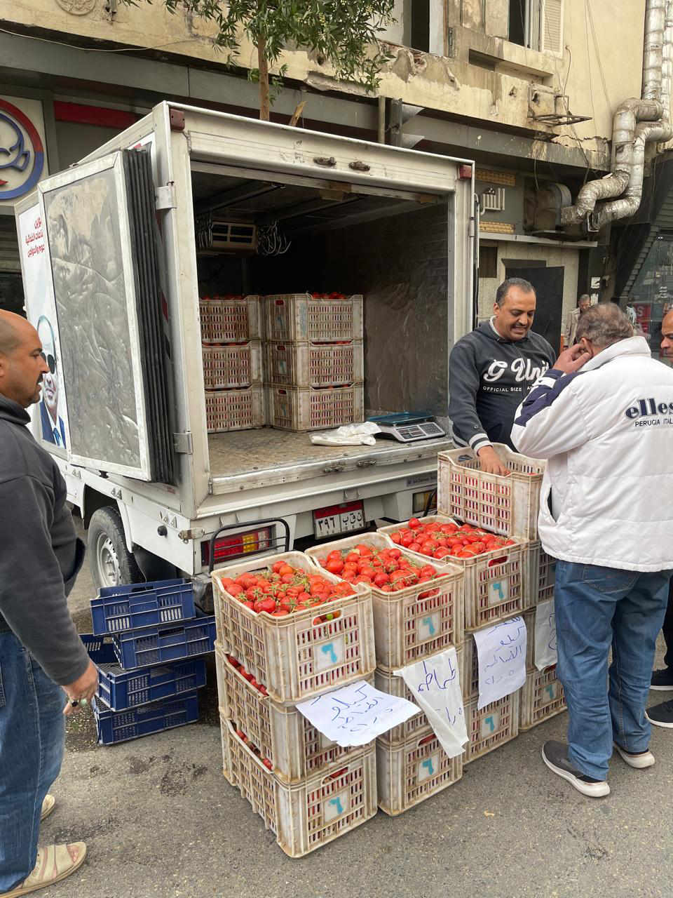 التموين تضخ سيارات متنقلة لبيع الطماطم بسعر مخفض